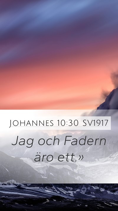 Johannes 10:30 SV1917 Bible Verse Image