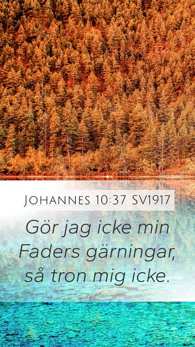 Johannes 10:37 SV1917 Bible Verse Image