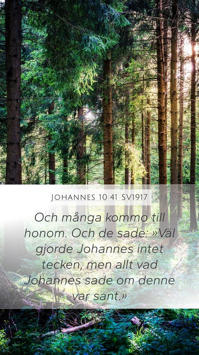 Johannes 10:41 SV1917 Bible Verse Image