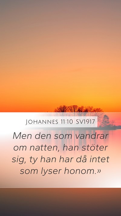 Johannes 11:10 SV1917 Bible Verse Image