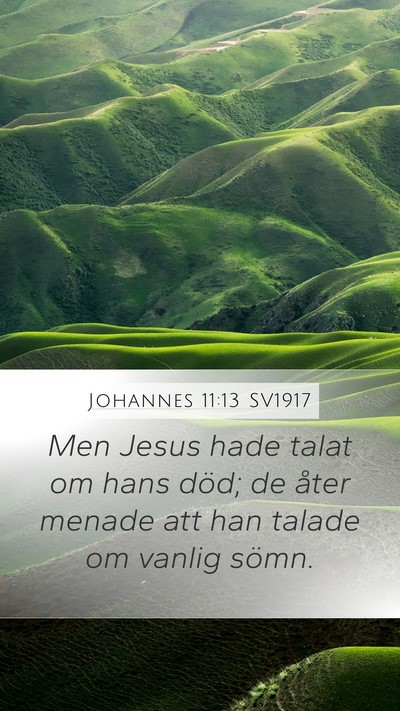 Johannes 11:13 SV1917 Bible Verse Image