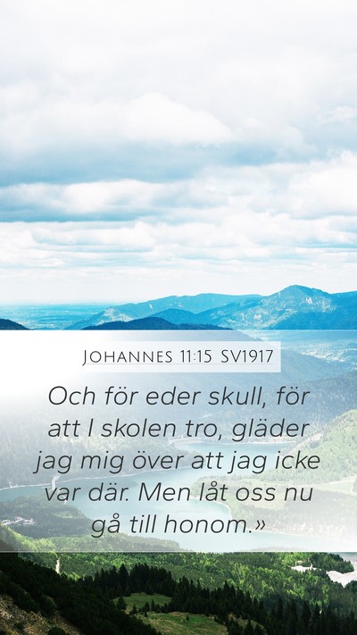 Johannes 11:15 SV1917 Mobile Phone Wallpaper - Och för eder skull, för att I skolen tro, - Mobile Bible Verse Wallpaper