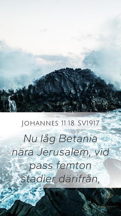 Johannes 11:18 SV1917 Bible Verse Image