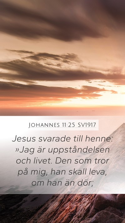 Johannes 11:25 SV1917 Bible Verse Image
