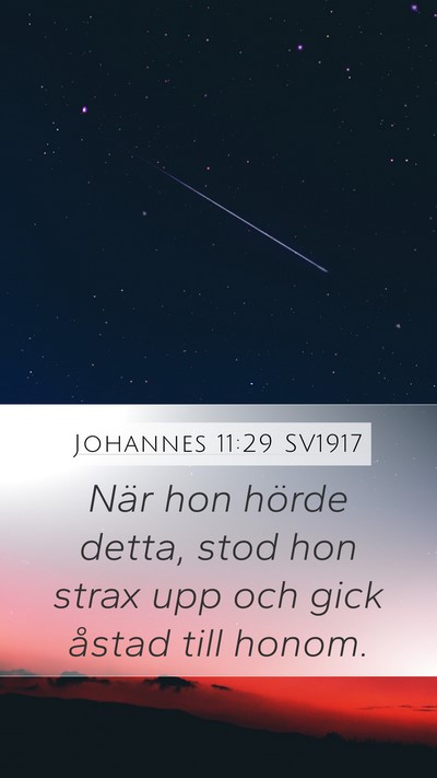 Johannes 11:29 SV1917 Mobile Phone Wallpaper - När hon hörde detta, stod hon strax upp och - Mobile Bible Verse Wallpaper