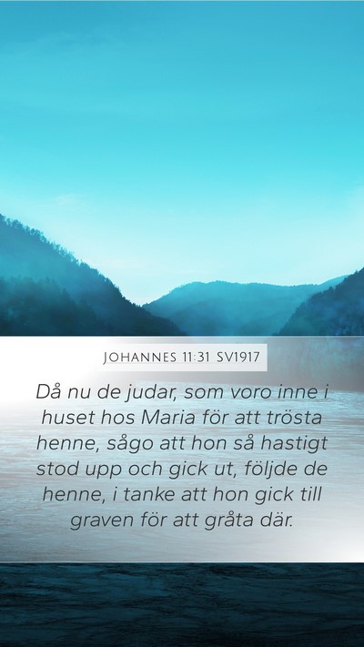 Johannes 11:31 SV1917 Bible Verse Image