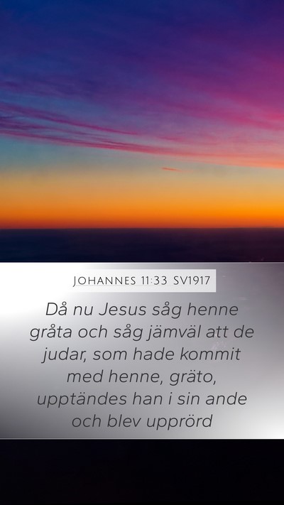 Johannes 11:33 SV1917 Bible Verse Image