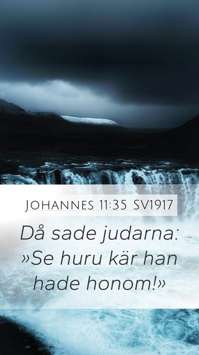 Johannes 11:35 SV1917 Bible Verse Image