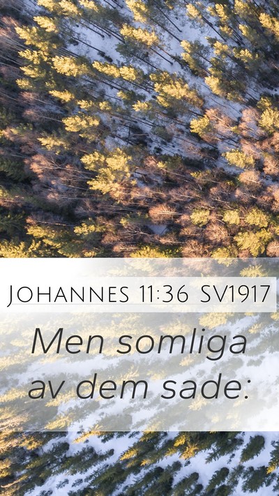 Johannes 11:36 SV1917 Bible Verse Image