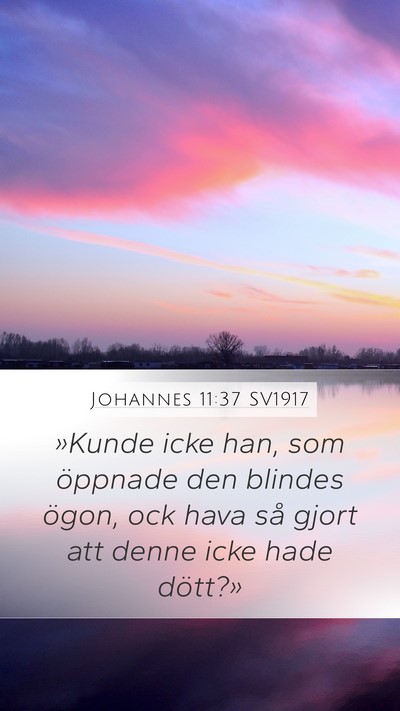 Johannes 11:37 SV1917 Bible Verse Image