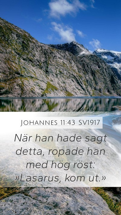 Johannes 11:43 SV1917 Bible Verse Image
