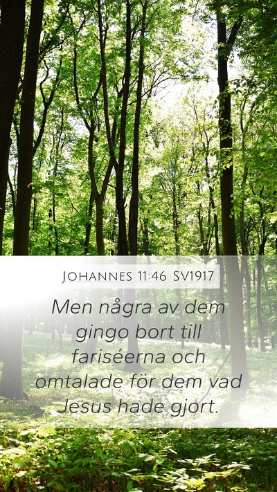 Johannes 11:46 SV1917 Bible Verse Image