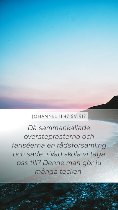 Johannes 11:47 SV1917 Bible Verse Image