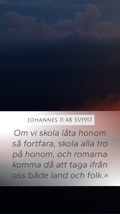 Johannes 11:48 SV1917 Bible Verse Image