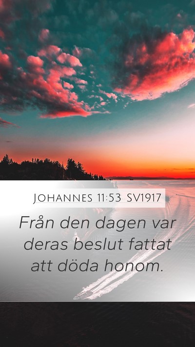 Johannes 11:53 SV1917 Bible Verse Image