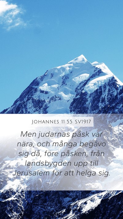 Johannes 11:55 SV1917 Bible Verse Image