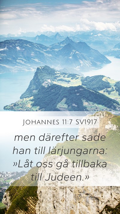 Johannes 11:7 SV1917 Bible Verse Image
