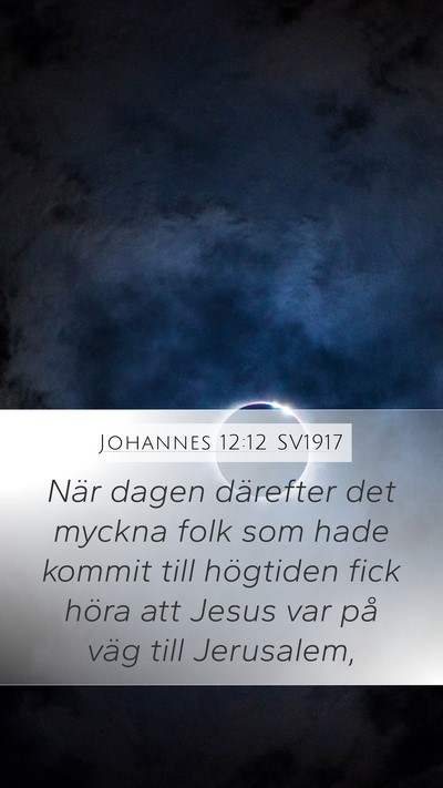 Johannes 12:12 SV1917 Bible Verse Image