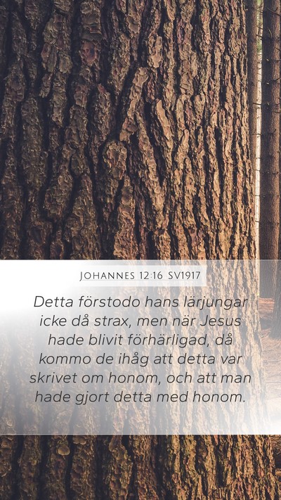 Johannes 12:16 SV1917 Bible Verse Image