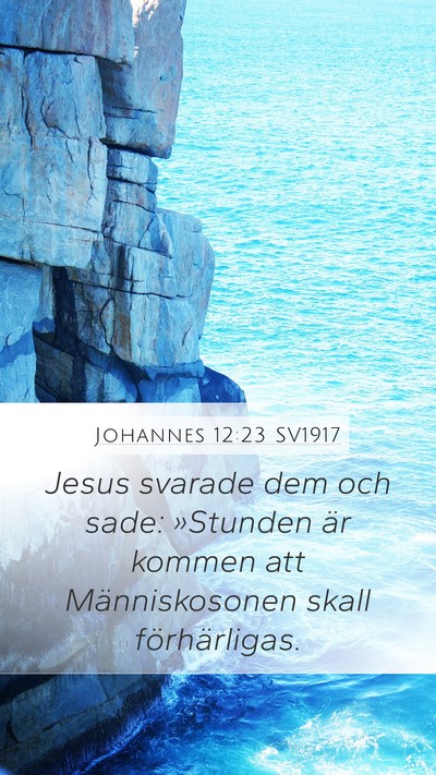 Johannes 12:23 SV1917 Bible Verse Image