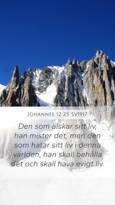 Johannes 12:25 SV1917 Bible Verse Image