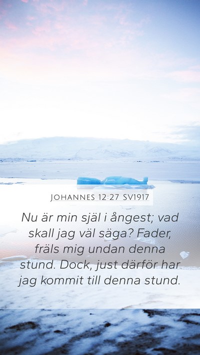 Johannes 12:27 SV1917 Bible Verse Image