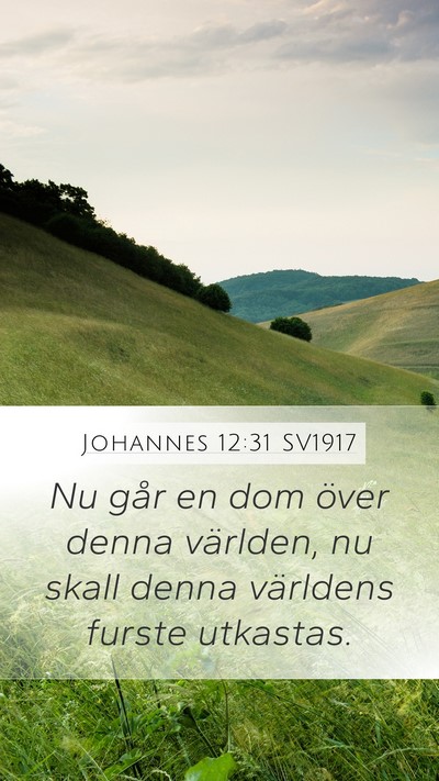 Johannes 12:31 SV1917 Bible Verse Image