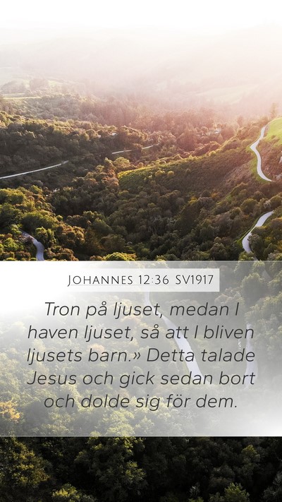 Johannes 12:36 SV1917 Bible Verse Image