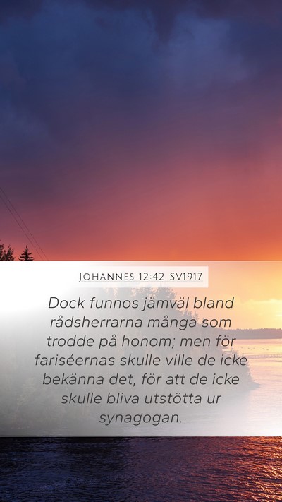 Johannes 12:42 SV1917 Bible Verse Image
