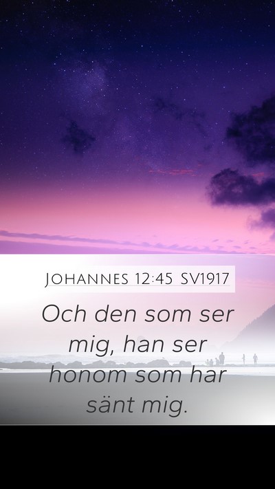 Johannes 12:45 SV1917 Bible Verse Image