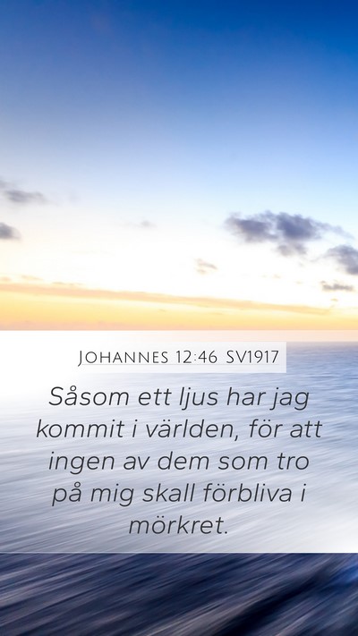 Johannes 12:46 SV1917 Bible Verse Image