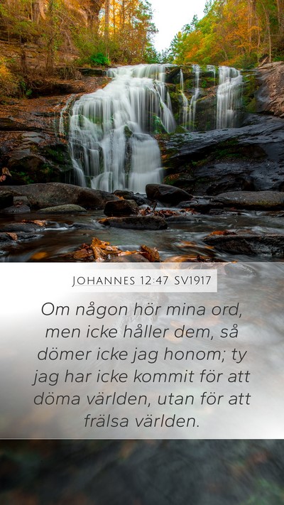 Johannes 12:47 SV1917 Bible Verse Image