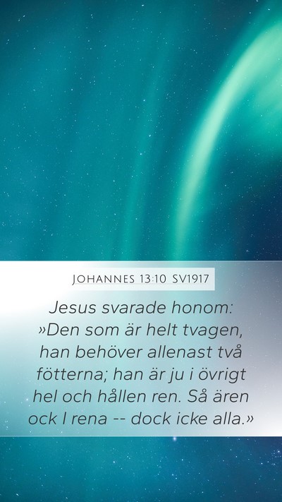 Johannes 13:10 SV1917 Bible Verse Image