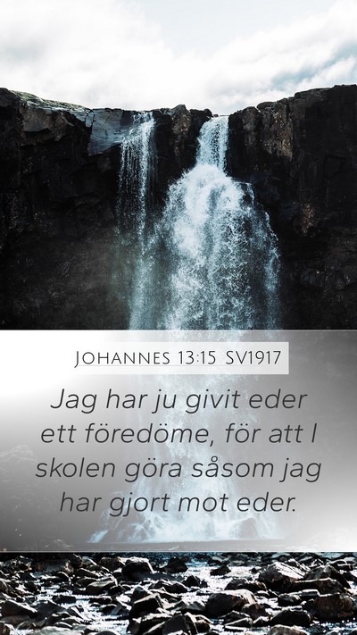 Johannes 13:15 SV1917 Bible Verse Image