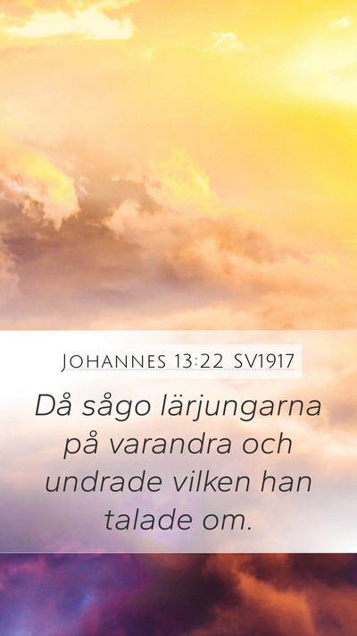 Johannes 13:22 SV1917 Bible Verse Image