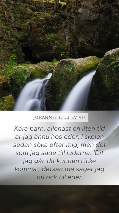 Johannes 13:33 SV1917 Bible Verse Image