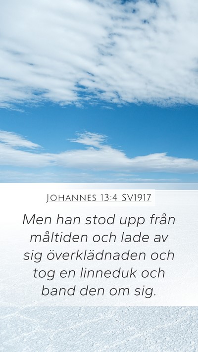 Johannes 13:4 SV1917 Bible Verse Image