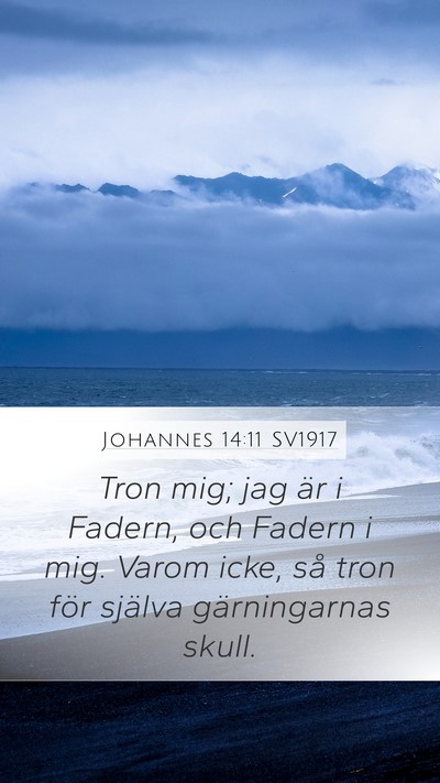 Johannes 14:11 SV1917 Bible Verse Image