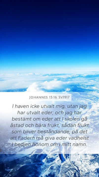 Johannes 15:16 SV1917 Bible Verse Image