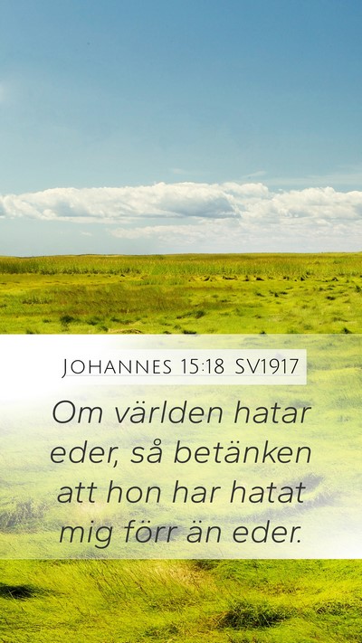Johannes 15:18 SV1917 Bible Verse Image