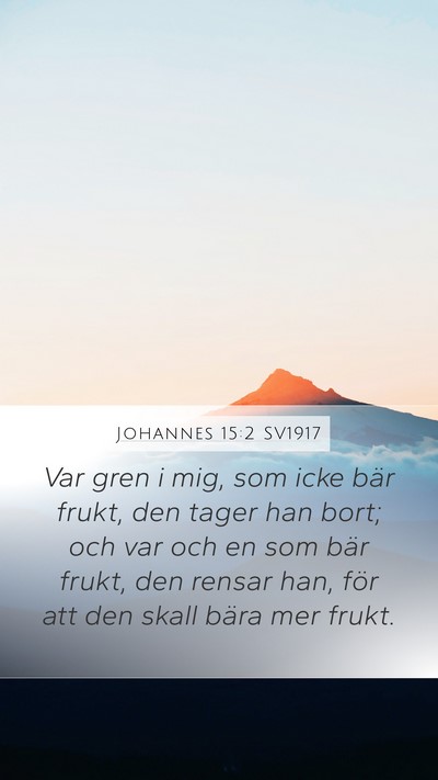 Johannes 15:2 SV1917 Bible Verse Image