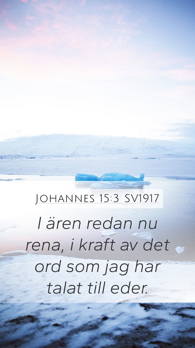 Johannes 15:3 SV1917 Bible Verse Image