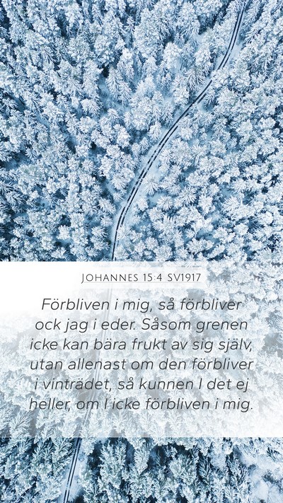 Johannes 15:4 SV1917 Bible Verse Image