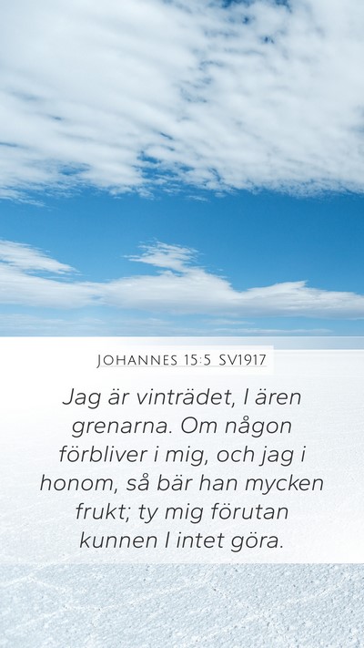 Johannes 15:5 SV1917 Bible Verse Image
