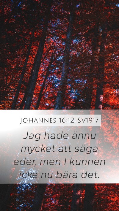 Johannes 16:12 SV1917 Bible Verse Image