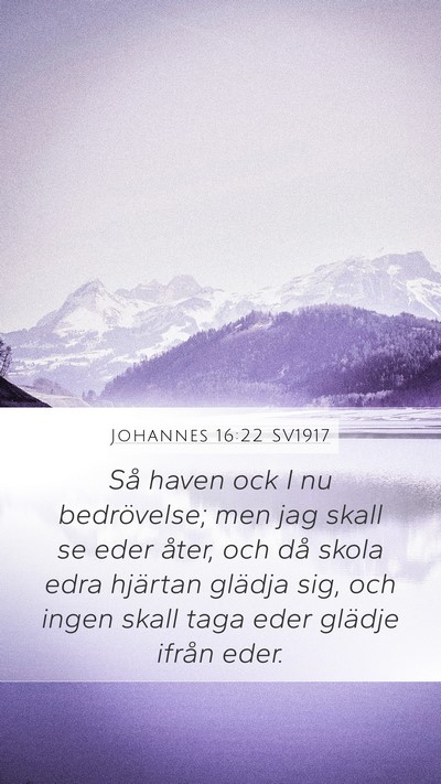 Johannes 16:22 SV1917 Bible Verse Image