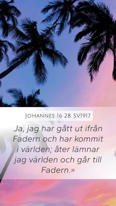 Johannes 16:28 SV1917 Bible Verse Image