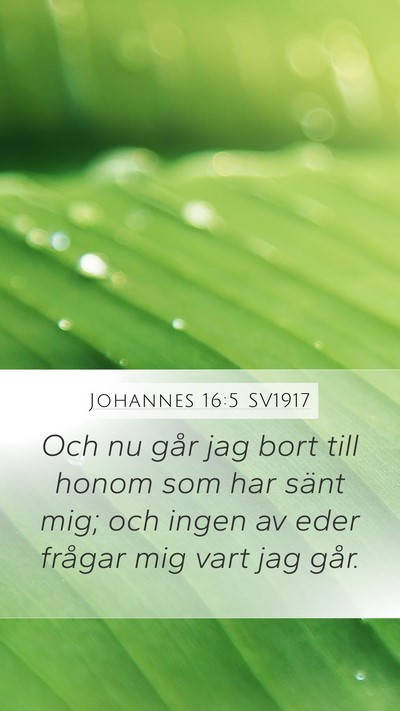 Johannes 16:5 SV1917 Bible Verse Image