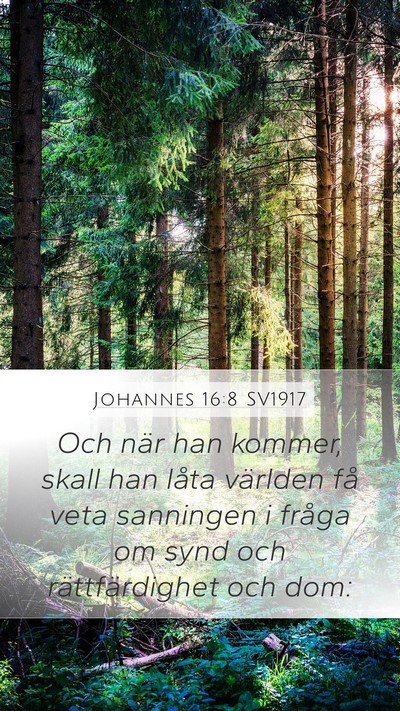 Johannes 16:8 SV1917 Bible Verse Image