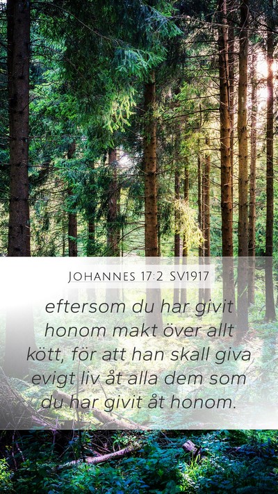 Johannes 17:2 SV1917 Bible Verse Image